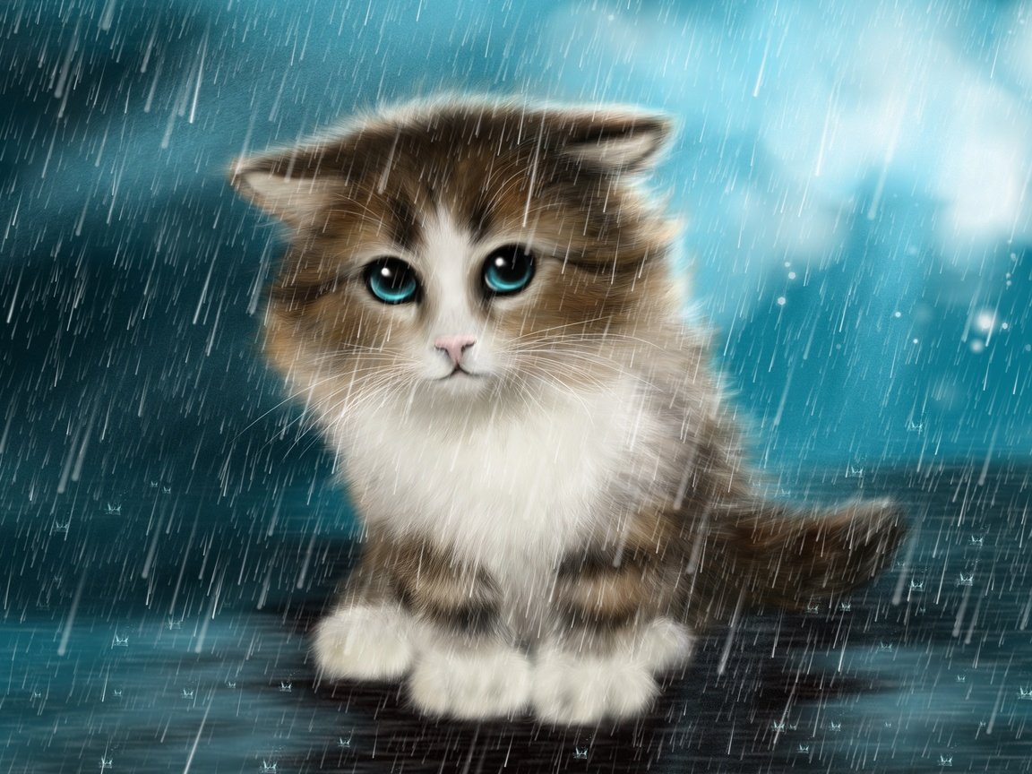Обои арт, кот, мордочка, кошка, взгляд, котенок, капли дождя, под дождём, art, cat, muzzle, look, kitty, raindrops, in the rain разрешение 3032x1908 Загрузить