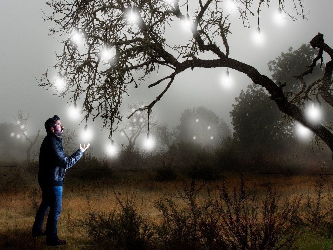 Обои свет, дерево, человек, креатив, лампочки, light, tree, people, creative, light bulb разрешение 1920x1200 Загрузить
