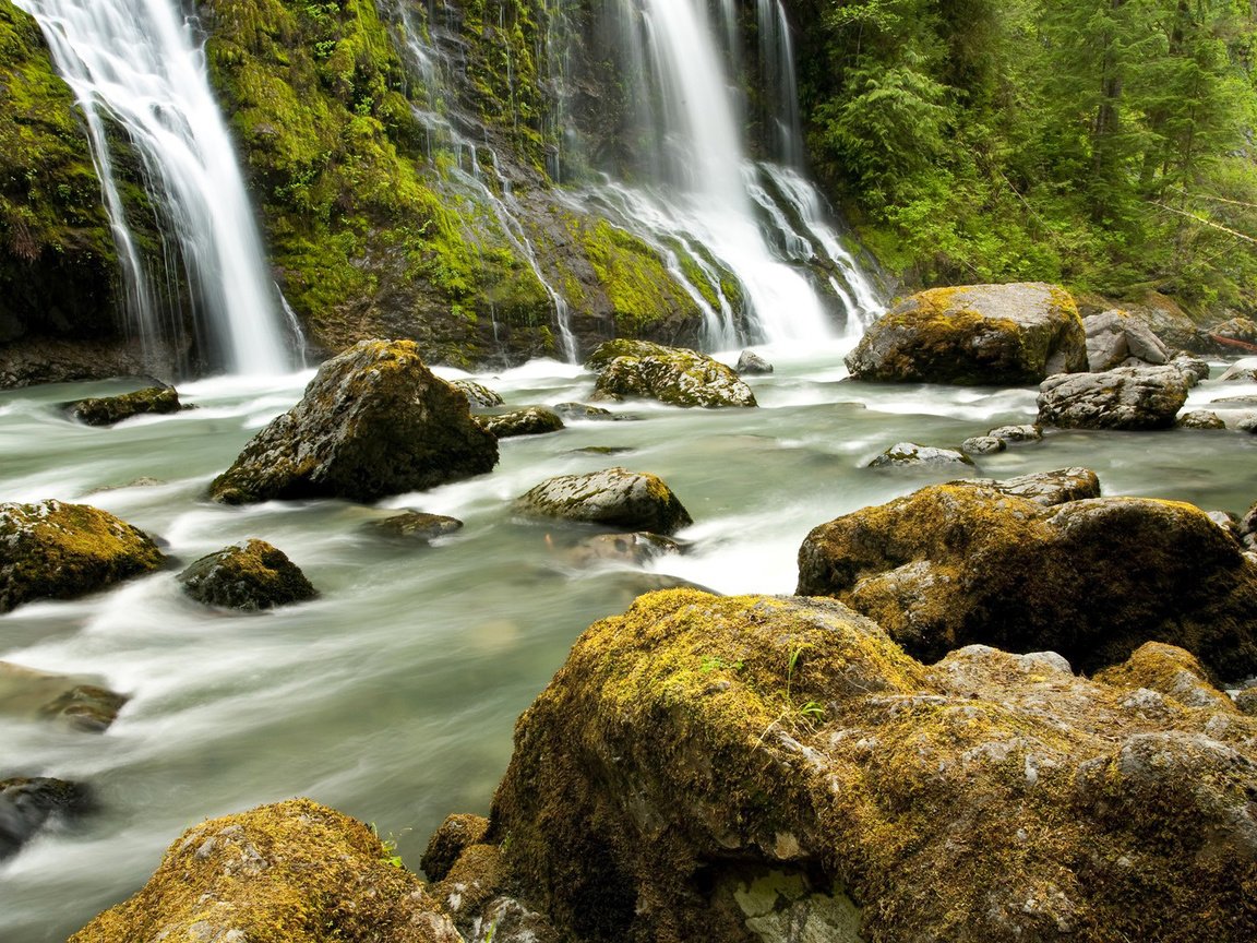 Обои деревья, река, камни, лес, водопад, trees, river, stones, forest, waterfall разрешение 1920x1080 Загрузить