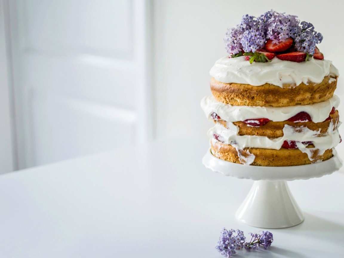 Обои цветы, крем для торта, клубника, сирень, торт, коржи, flowers, cream cake, strawberry, lilac, cake, cakes разрешение 2000x1383 Загрузить