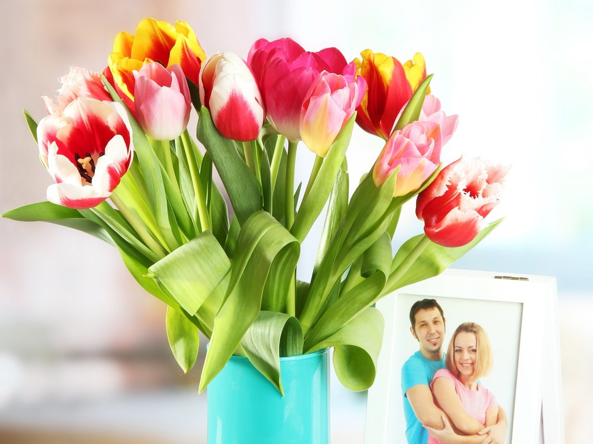 Обои фото, тюльпаны, тульпаны, photo, tulips разрешение 3279x2358 Загрузить