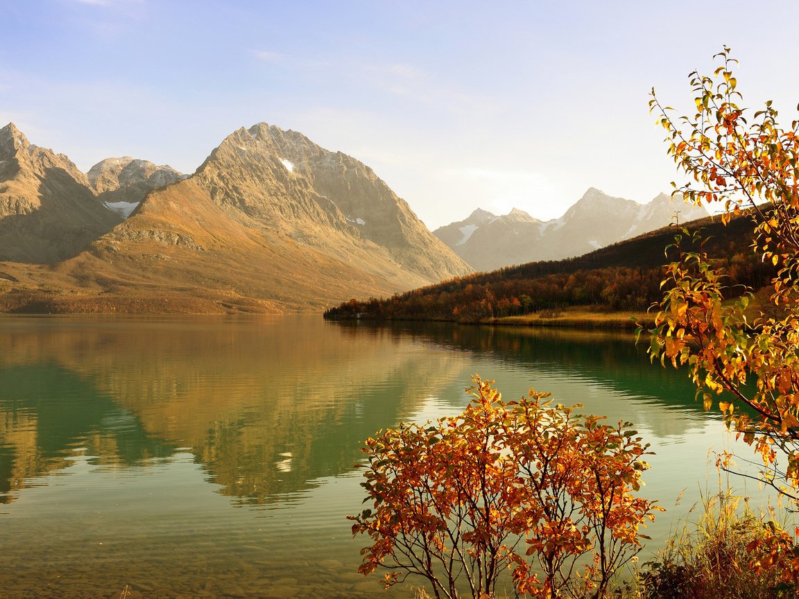 Обои горы, дерево, лес, осень, залив, кустарник, mountains, tree, forest, autumn, bay, shrub разрешение 1920x1200 Загрузить