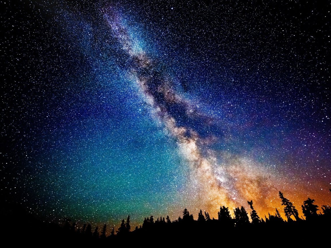 Обои небо, деревья, лес, звезды, млечный путь, the sky, trees, forest, stars, the milky way разрешение 2560x1600 Загрузить