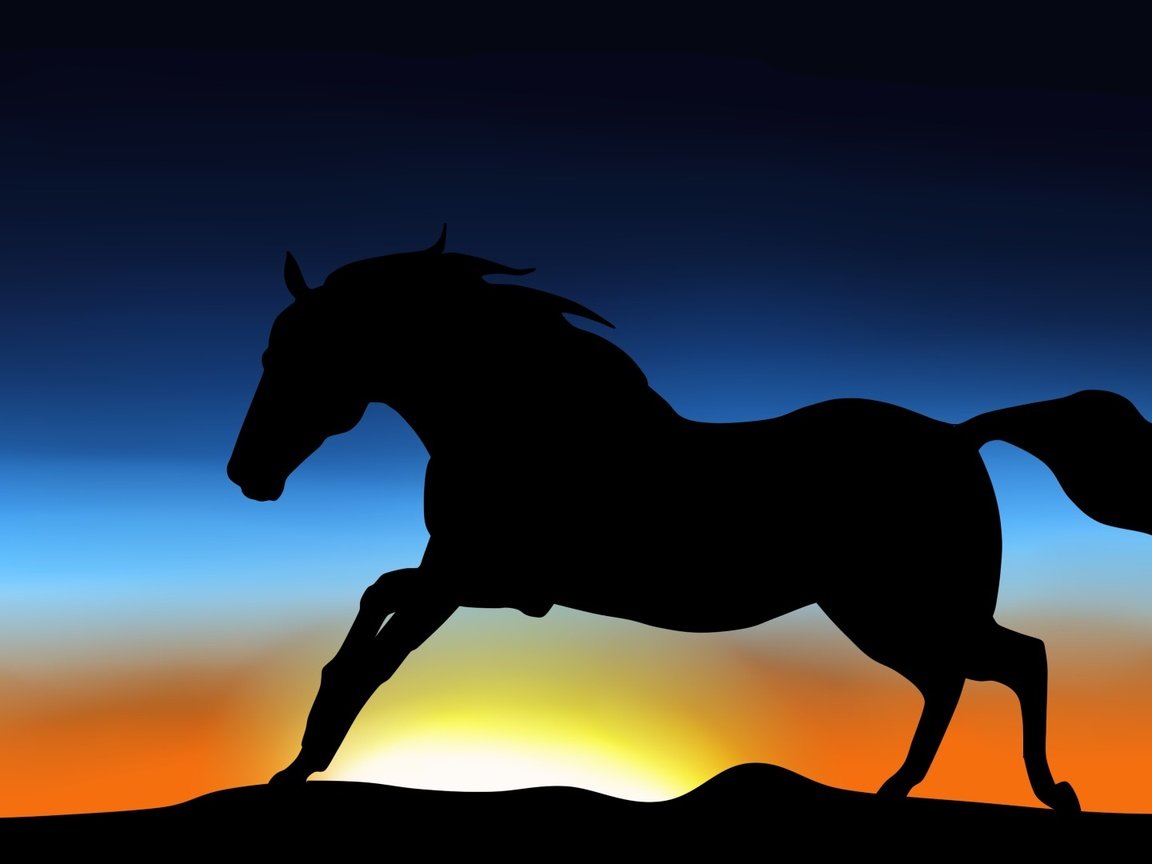 Обои небо, лошадь, силуэт, животное, грива, хвост, скачет, the sky, horse, silhouette, animal, mane, tail, jump разрешение 1920x1080 Загрузить