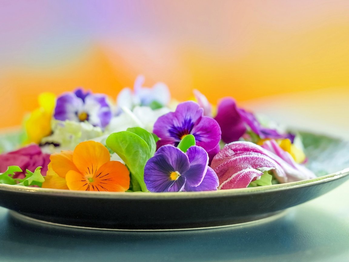 Обои цветы, фон, тарелка, flowers, background, plate разрешение 2048x1365 Загрузить