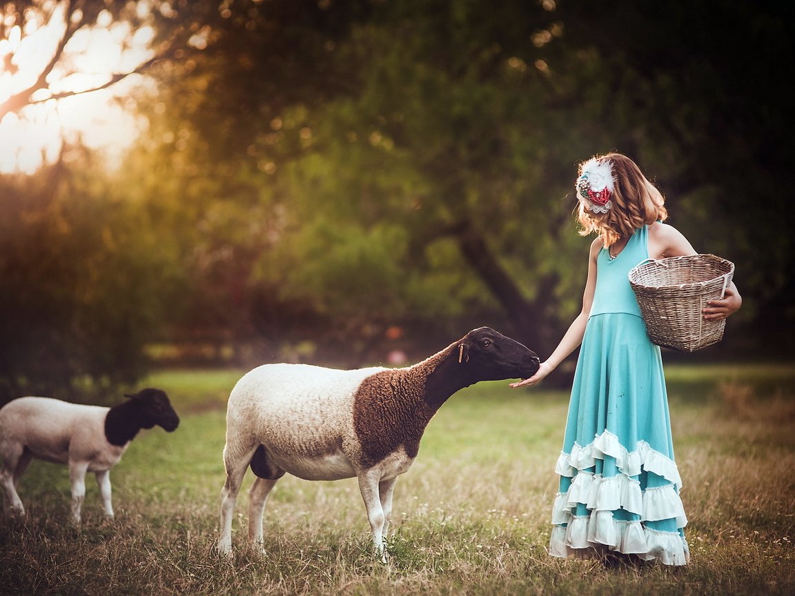 Обои фон, девочка, овцы, background, girl, sheep разрешение 1920x1241 Загрузить