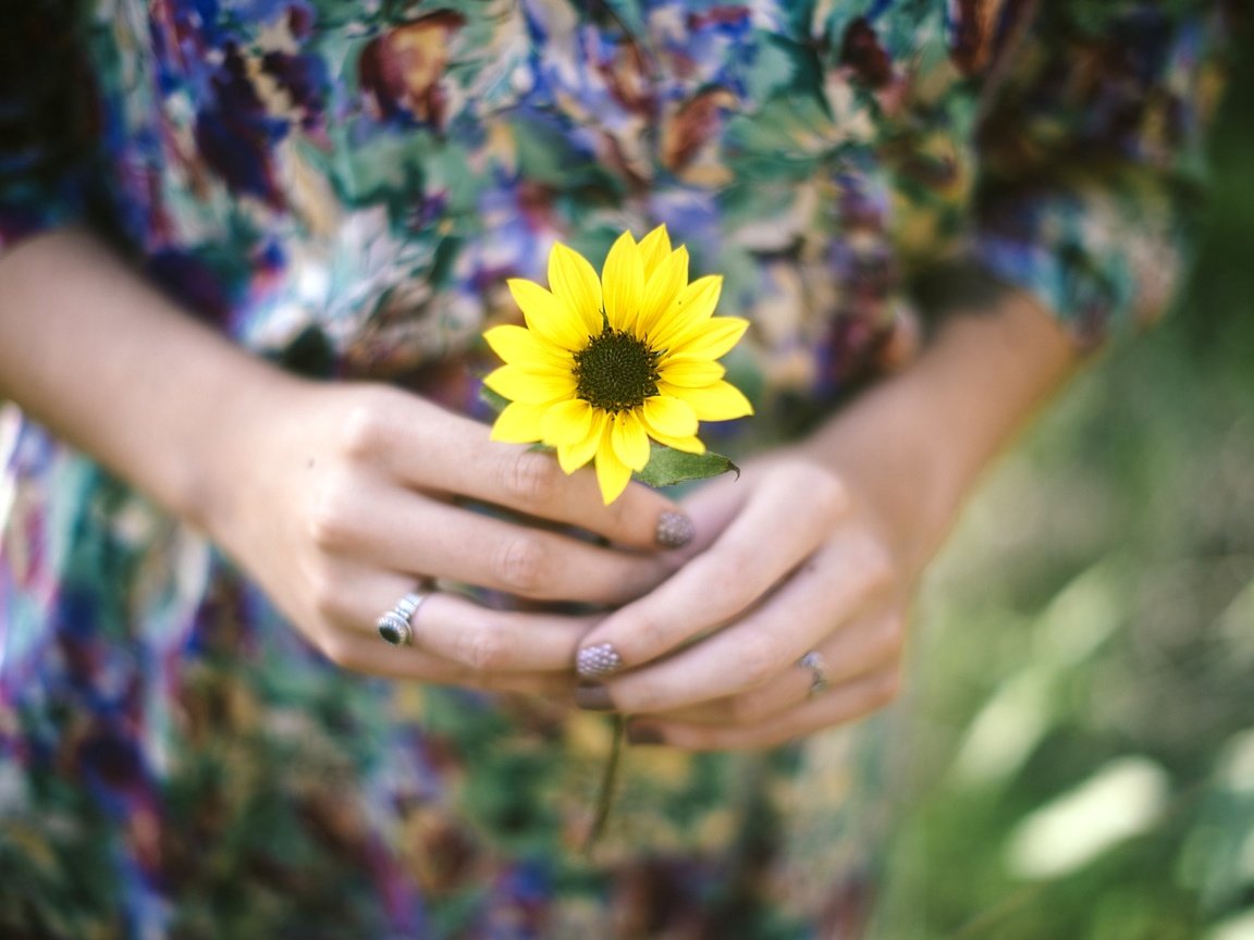 Обои цветок, лепестки, кольцо, руки, желтые, flower, petals, ring, hands, yellow разрешение 2880x1922 Загрузить