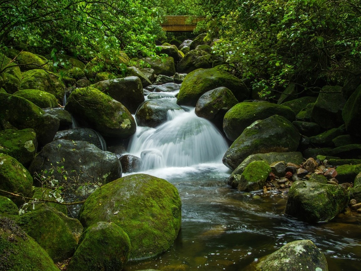 Обои вода, камни, зелень, ручей, мох, water, stones, greens, stream, moss разрешение 2250x1495 Загрузить