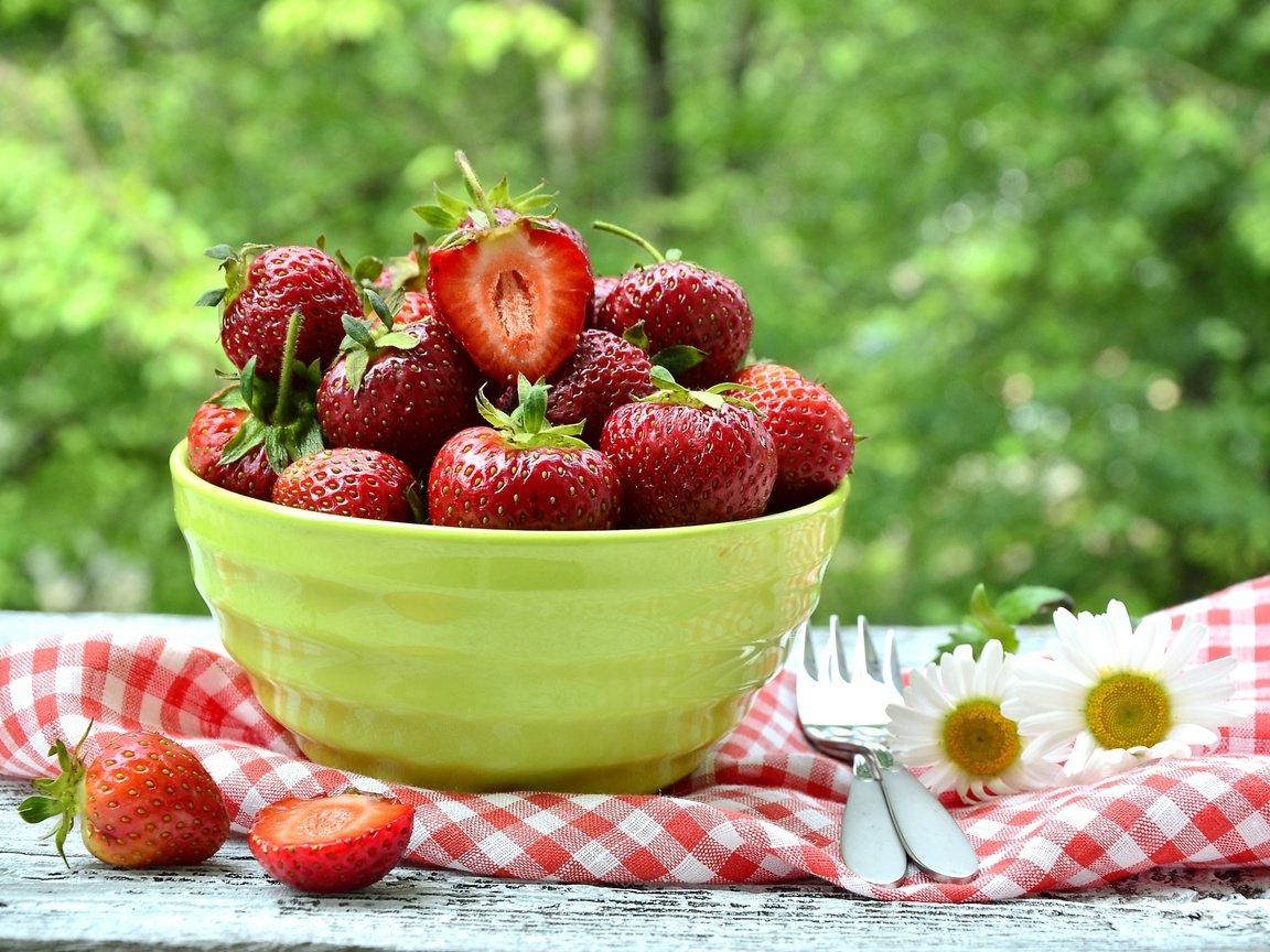 Обои клубника, ромашки, ягоды, миска, strawberry, chamomile, berries, bowl разрешение 2400x1590 Загрузить