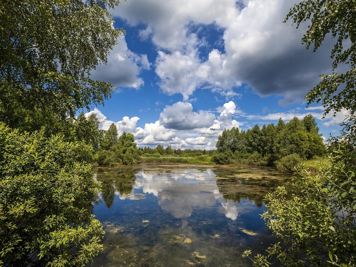 Обои небо, облака, деревья, лето, the sky, clouds, trees, summer разрешение 2000x1333 Загрузить