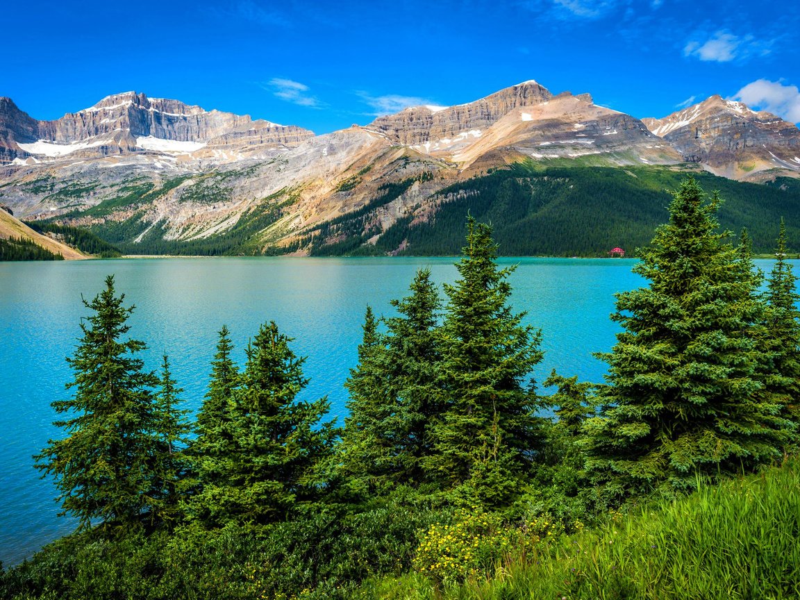 Обои горное озеро, деревь, ландшафт, валлпапер, mountain lake, trees, landscape, wallpaper разрешение 2560x1600 Загрузить