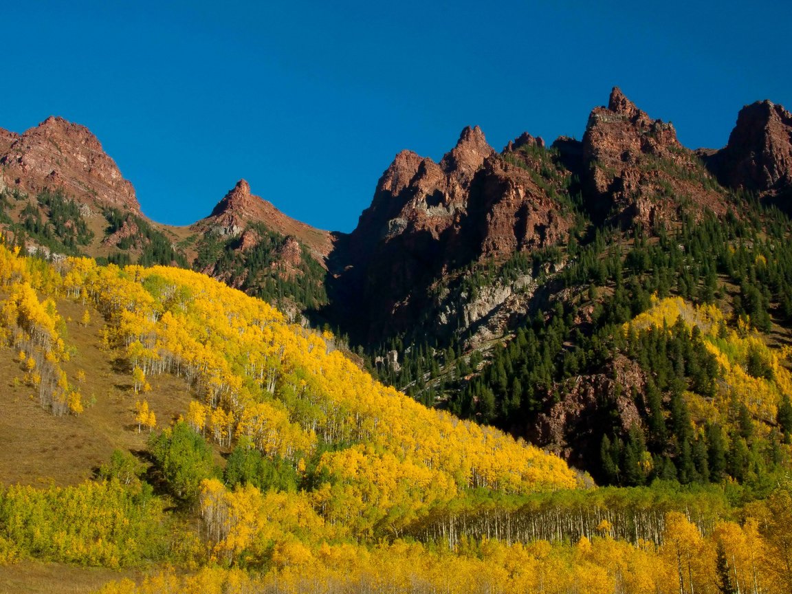 Обои деревья, горы, лес, желтые, колорадо, марун-беллс, trees, mountains, forest, yellow, colorado, maroon bells разрешение 2048x1365 Загрузить