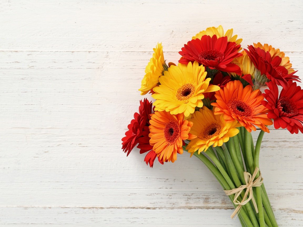 Обои красные, букет, желтые, оранжевые, герберы, букеты, gerberas, red, bouquet, yellow, orange, gerbera, bouquets разрешение 2880x1865 Загрузить