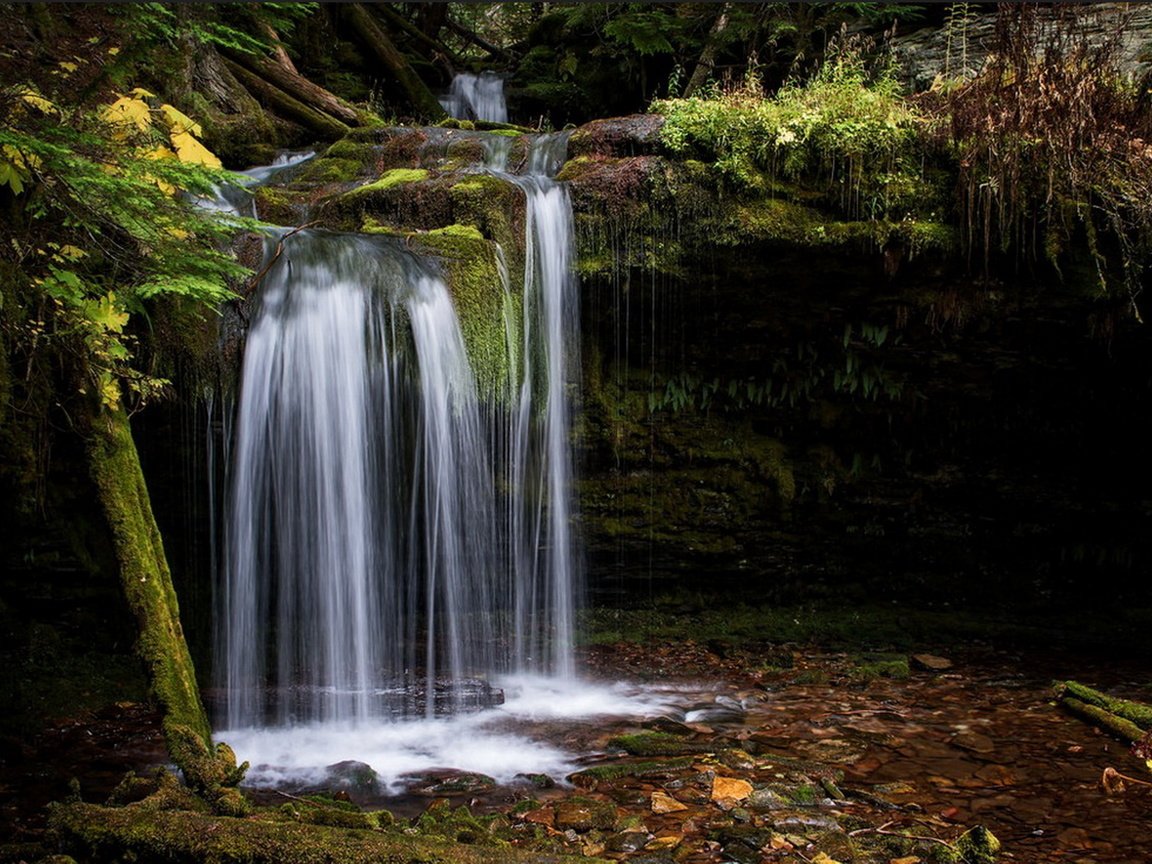 Обои лес, ручей, водопад, мох, forest, stream, waterfall, moss разрешение 1920x1433 Загрузить
