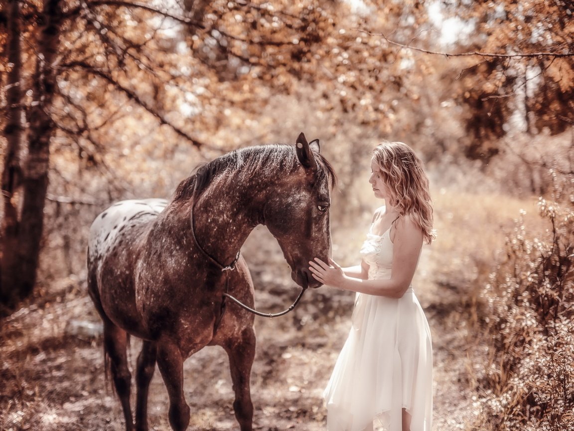 Обои природа, девушка, конь, nature, girl, horse разрешение 2560x1707 Загрузить