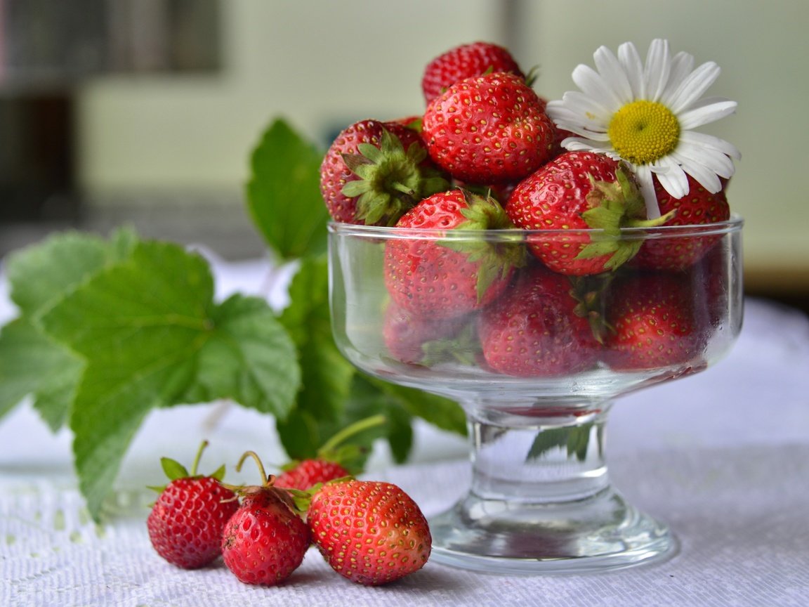 Обои клубника, красный, ромашка, ягоды, вазочка, strawberry, red, daisy, berries, vase разрешение 3300x2145 Загрузить