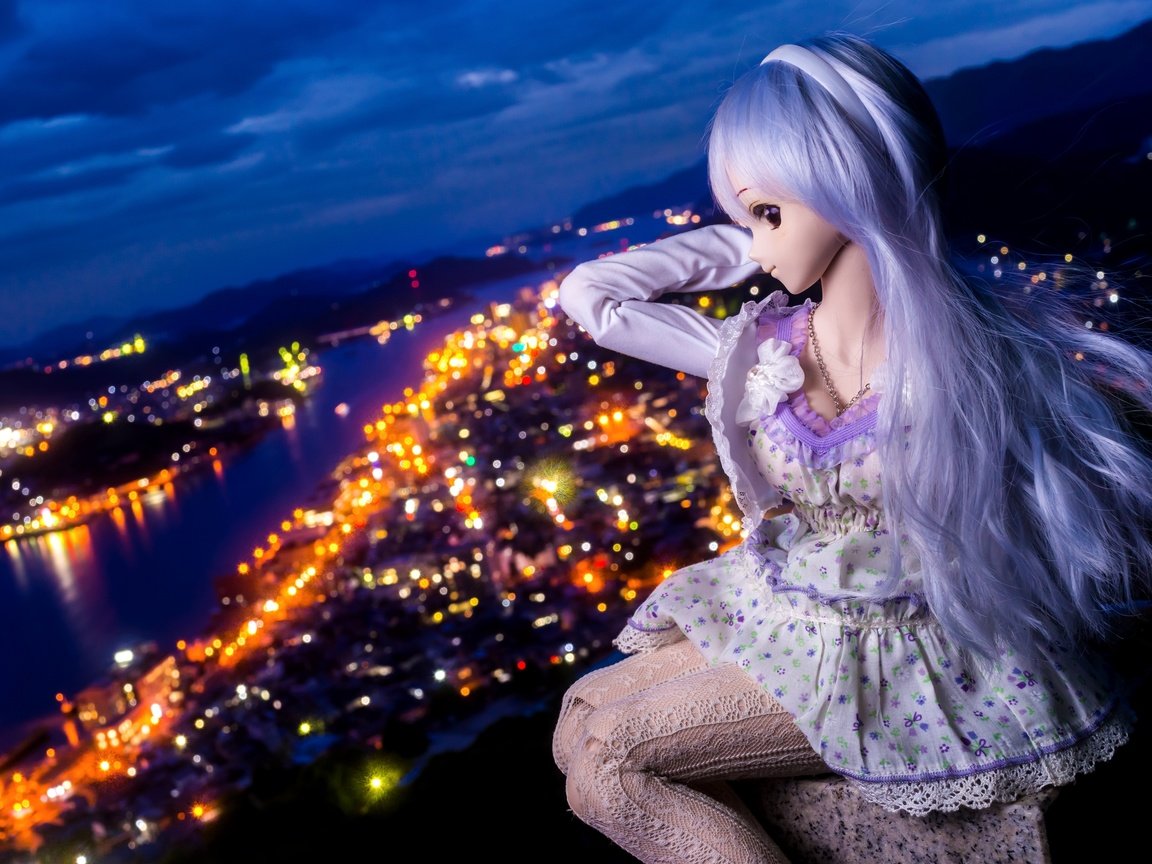 Обои ночь, огни, девушка, город, кукла, night, lights, girl, the city, doll разрешение 3600x2400 Загрузить