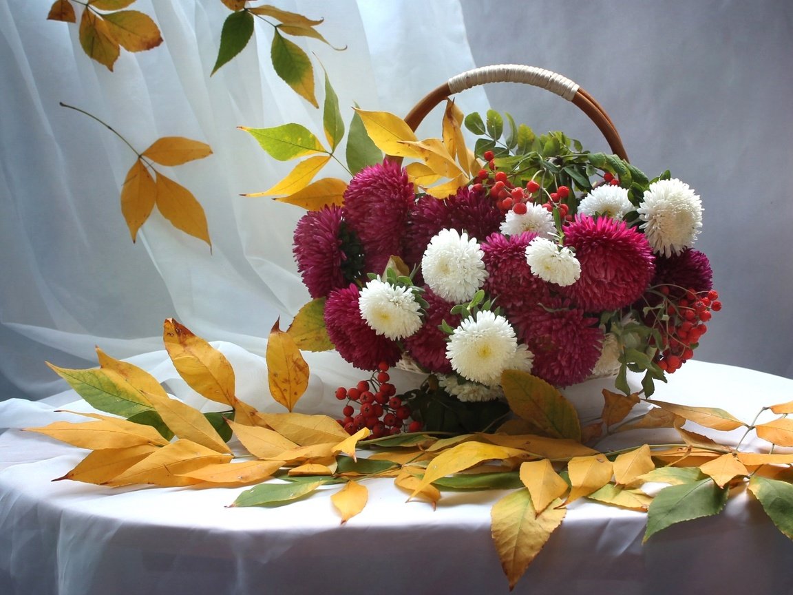 Обои листья, осень, букет, корзина, рябина, астры, leaves, autumn, bouquet, basket, rowan, asters разрешение 1920x1221 Загрузить