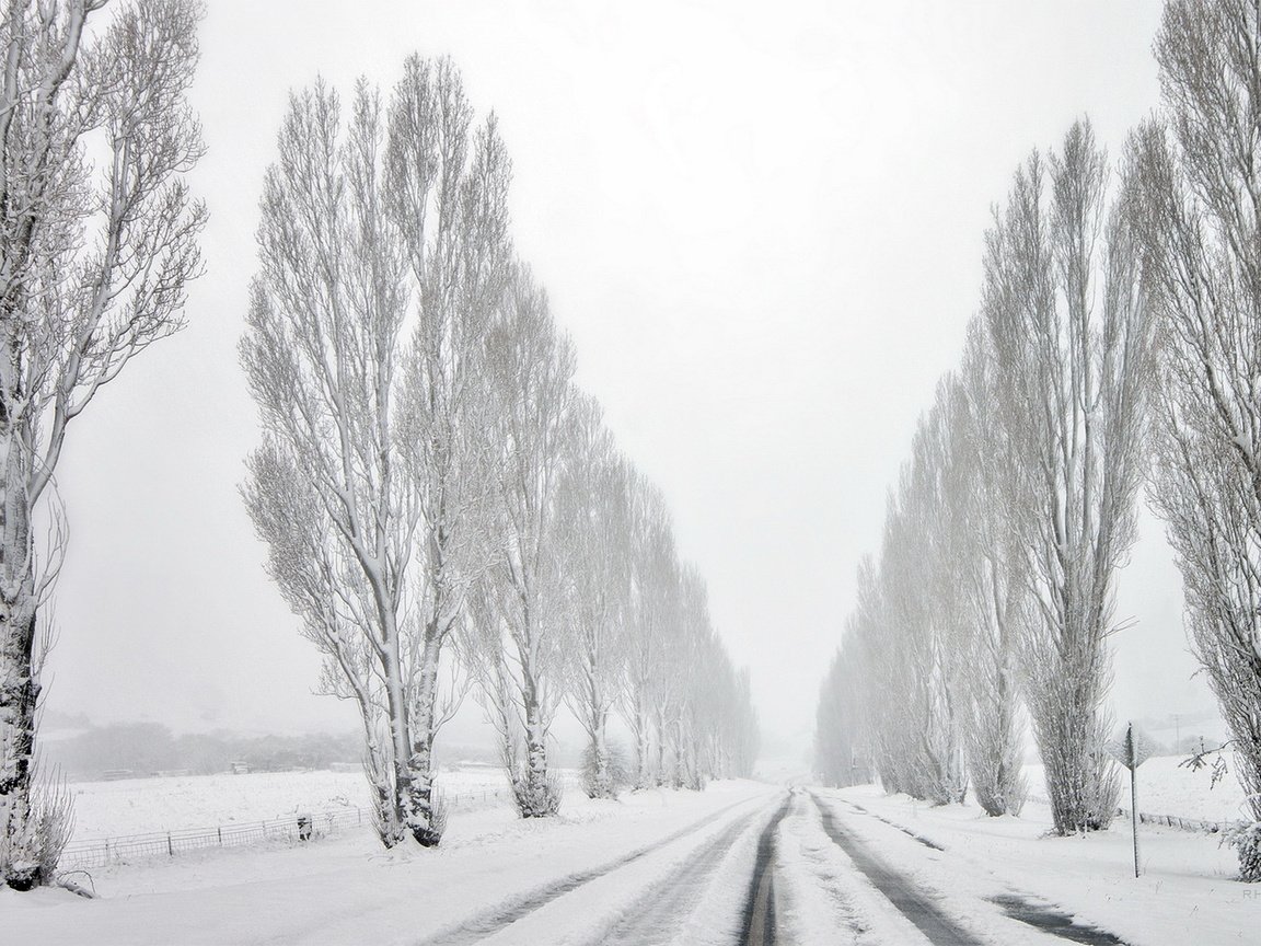 Обои дорога, деревья, снег, зима, road, trees, snow, winter разрешение 1920x1080 Загрузить