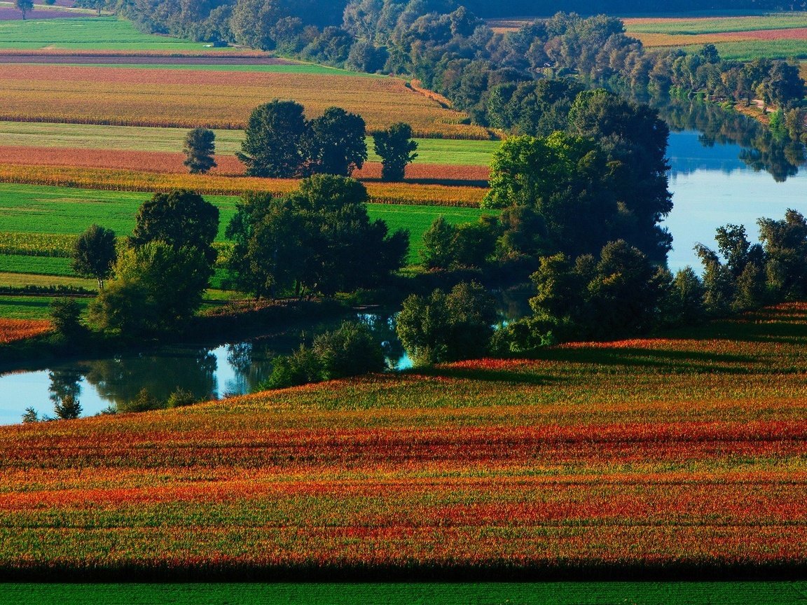 Обои деревья, река, природа, поле, берег реки, trees, river, nature, field, the river разрешение 1920x1080 Загрузить