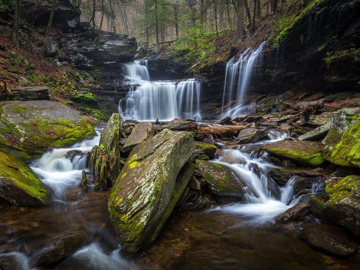 Обои деревья, камни, лес, ручей, водопад, сша, мох, ricketts glen state park, trees, stones, forest, stream, waterfall, usa, moss разрешение 3209x2000 Загрузить