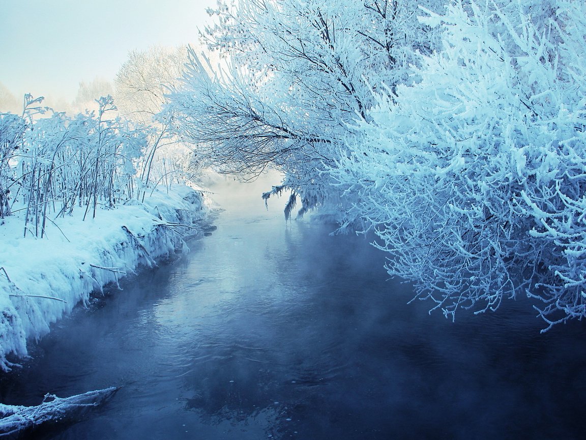 Обои снег, зима, snow, winter разрешение 1920x1200 Загрузить