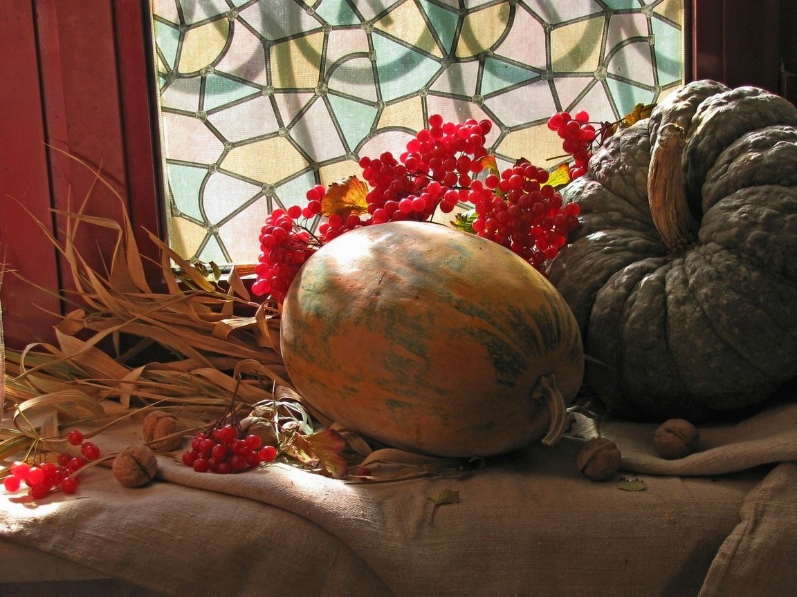 Обои свет, орехи, окно, тыквы, натюрморт, калина, light, nuts, window, pumpkin, still life, kalina разрешение 1920x1080 Загрузить