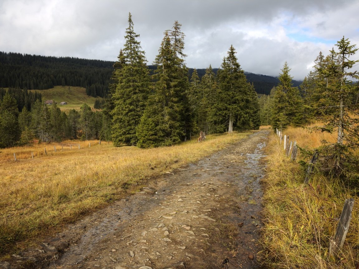 Обои небо, дорога, деревья, осень, забор, the sky, road, trees, autumn, the fence разрешение 5796x3870 Загрузить