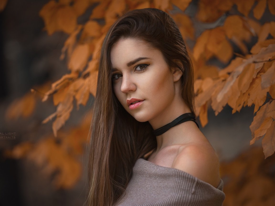 Обои глаза, девушка, портрет, листва, взгляд, осень, eyes, girl, portrait, foliage, look, autumn разрешение 2048x1365 Загрузить