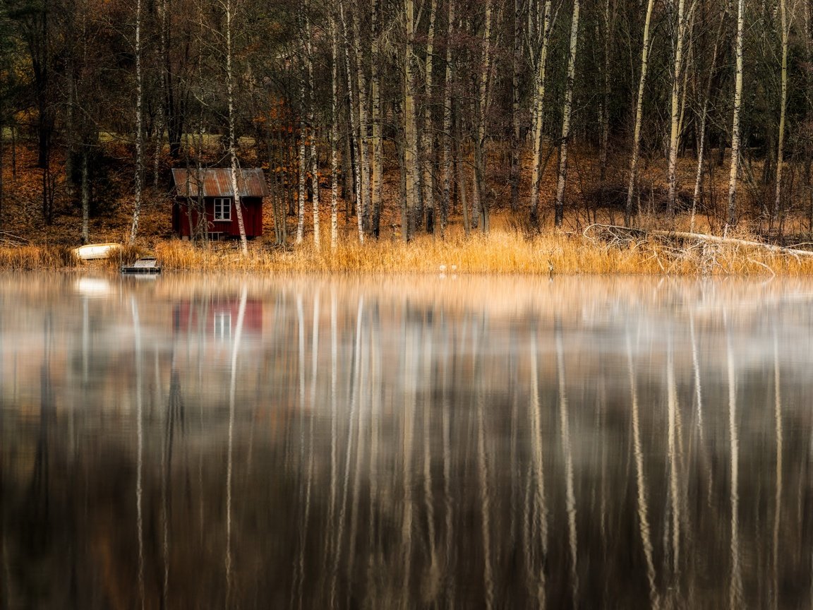 Обои деревья, озеро, берег, лес, отражение, домик, trees, lake, shore, forest, reflection, house разрешение 2560x1708 Загрузить