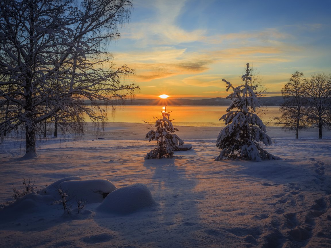 Обои небо, деревья, солнце, снег, природа, закат, зима, ель, the sky, trees, the sun, snow, nature, sunset, winter, spruce разрешение 4503x3002 Загрузить