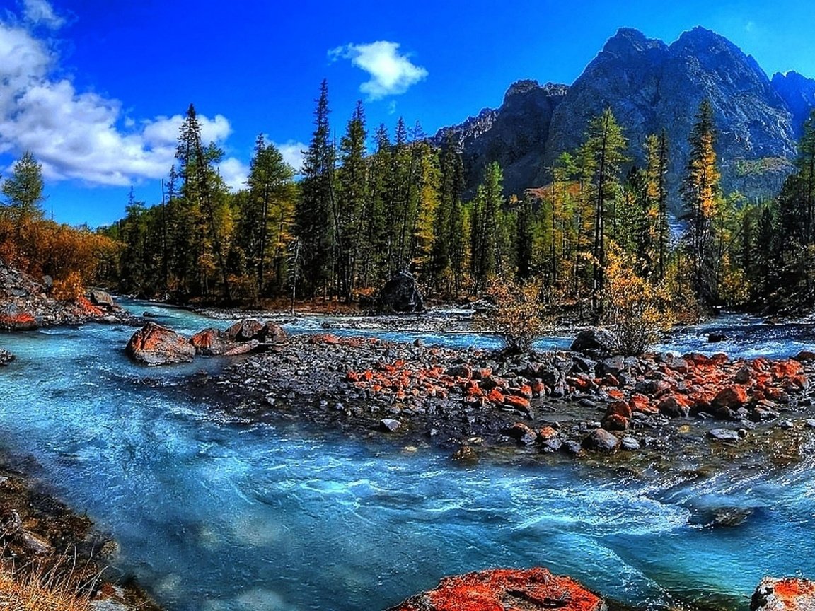 Обои деревья, stream mountain, fresh water, вода, rapids, река, горы, природа, камни, поток, бег, trees, water, river, mountains, nature, stones, stream, running разрешение 1920x1200 Загрузить