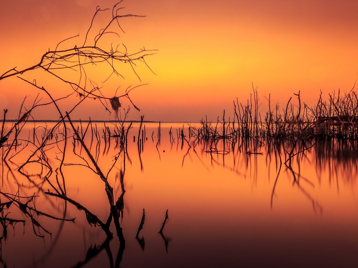 Обои озеро, ветки, силуэты, зарево, lake, branches, silhouettes, glow разрешение 2048x1268 Загрузить