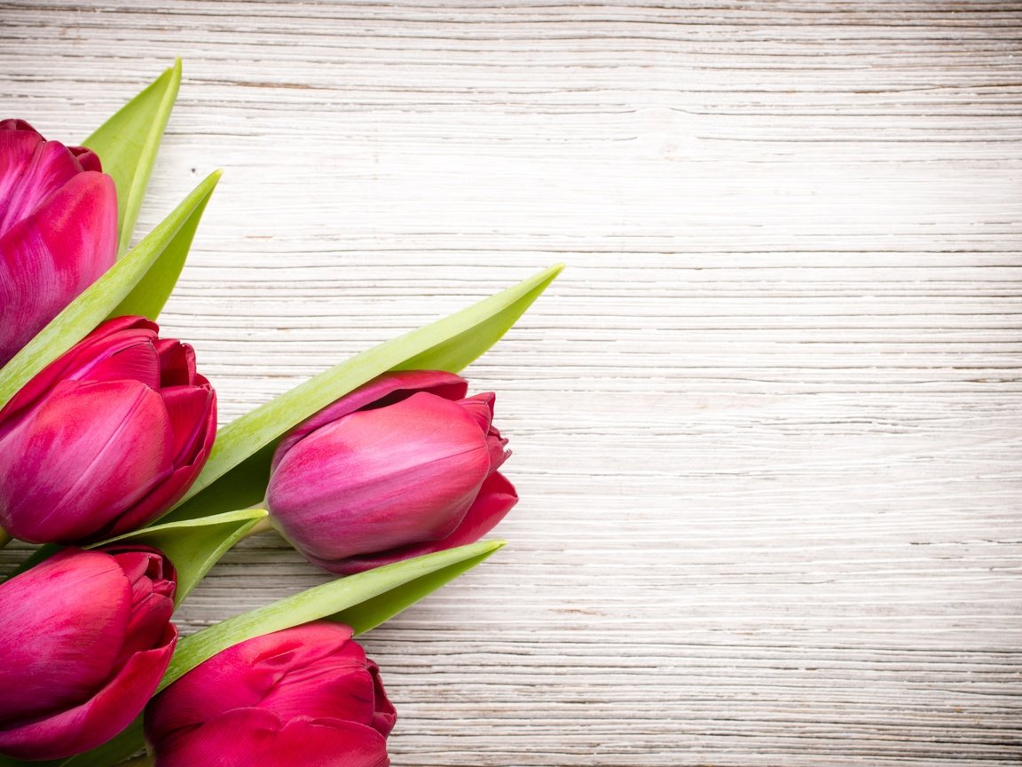 Обои цветы, букет, тюльпаны, розовые, flowers, bouquet, tulips, pink разрешение 5068x3380 Загрузить