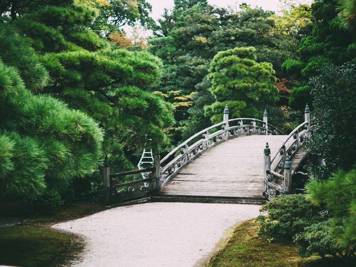 Обои деревья, природа, парк, мост, сад, trees, nature, park, bridge, garden разрешение 2048x1152 Загрузить