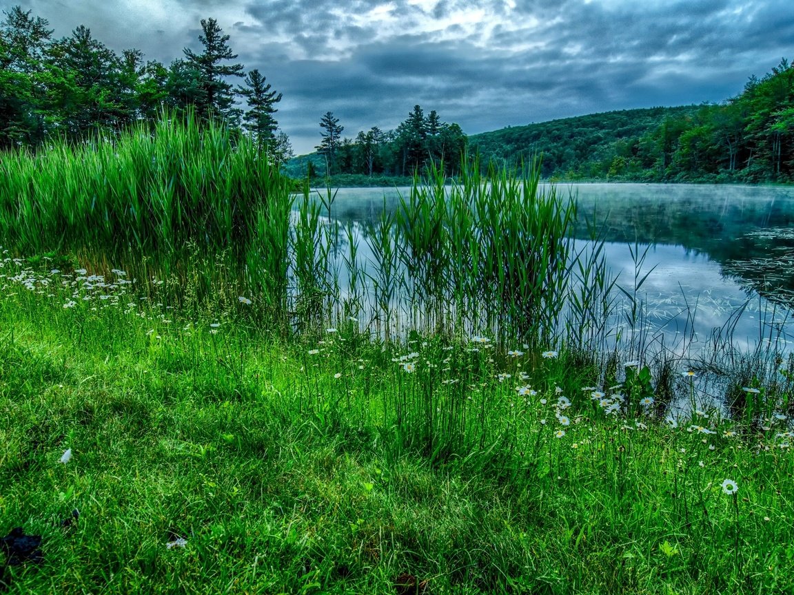 Обои небо, лето, цветы, трава, облака, деревья, река, природа, лес, the sky, summer, flowers, grass, clouds, trees, river, nature, forest разрешение 3021x2000 Загрузить