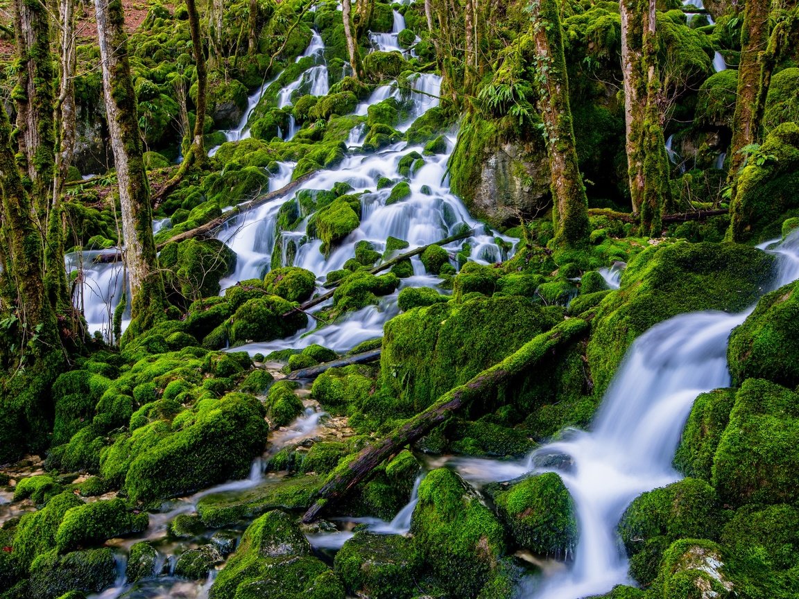 Обои деревья, вода, камни, лес, водопад, поток, мох, trees, water, stones, forest, waterfall, stream, moss разрешение 2048x1291 Загрузить