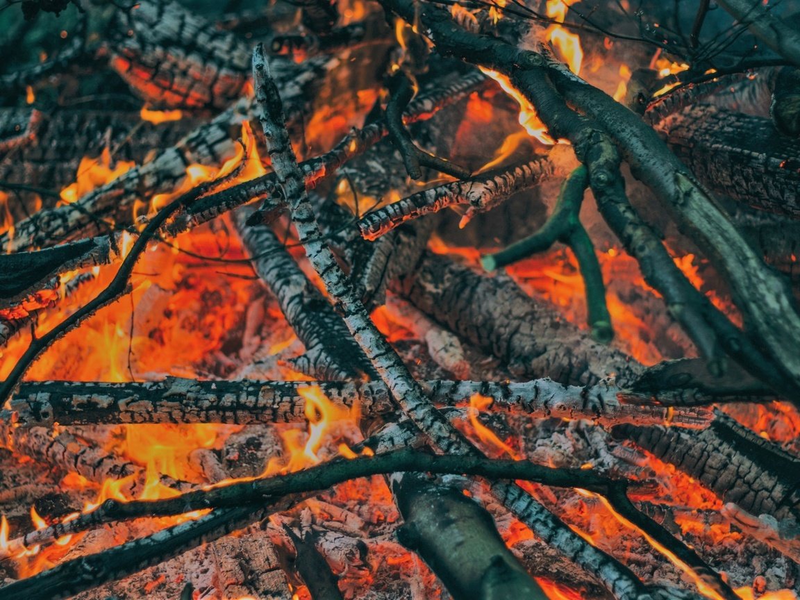 Обои пламя, огонь, угли, костёр, дрова, flame, fire, coal, the fire, wood разрешение 2560x1707 Загрузить