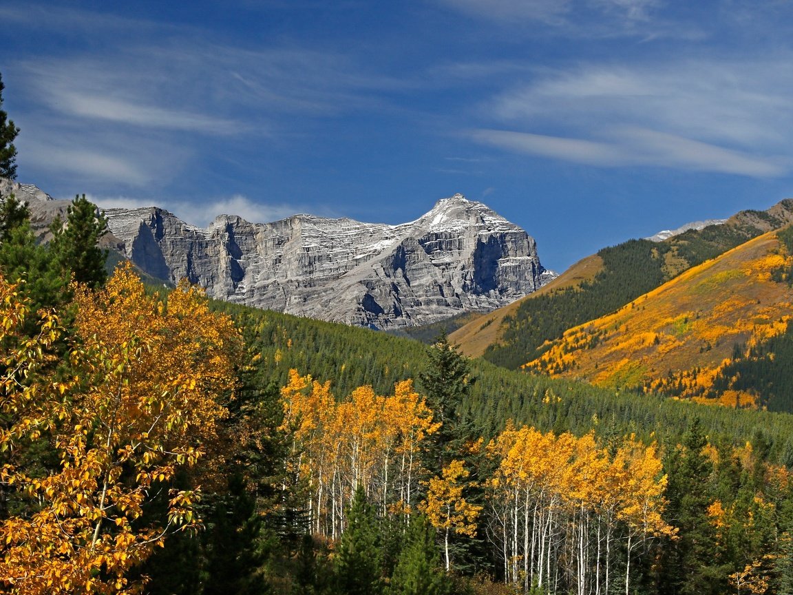 Обои деревья, горы, осень, канада, альберта, кананаскис, trees, mountains, autumn, canada, albert, kananaskis разрешение 2048x1365 Загрузить