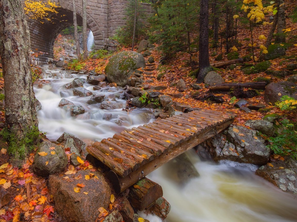 Обои деревья, река, листья, мост, осень, арка, trees, river, leaves, bridge, autumn, arch разрешение 2048x1574 Загрузить