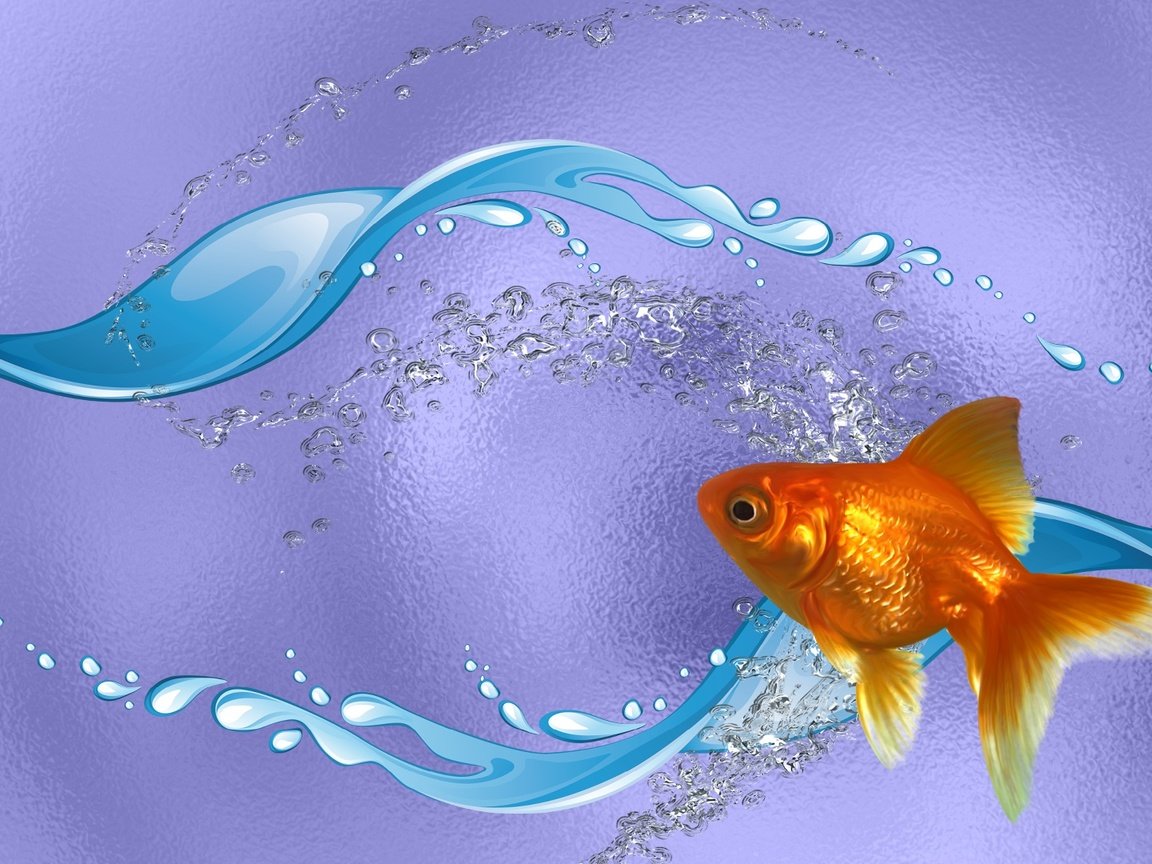 Обои вода, золотая рыбка, рыба, ааа, еееее, water, goldfish, fish разрешение 1920x1080 Загрузить