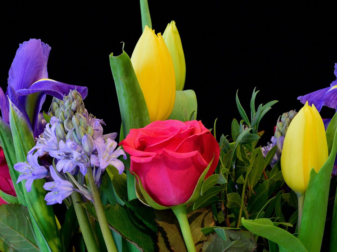 Обои цветы, макро, розы, черный фон, букет, тюльпаны, ирисы, композиция, flowers, macro, roses, black background, bouquet, tulips, irises, composition разрешение 2048x1365 Загрузить
