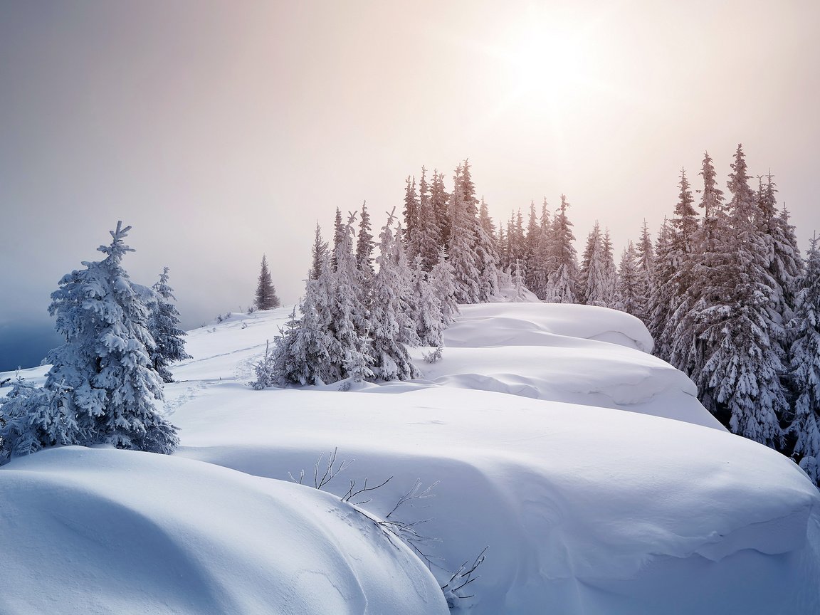 Обои деревья, снег, зима, ели, сугробы, trees, snow, winter, ate, the snow разрешение 3000x1943 Загрузить