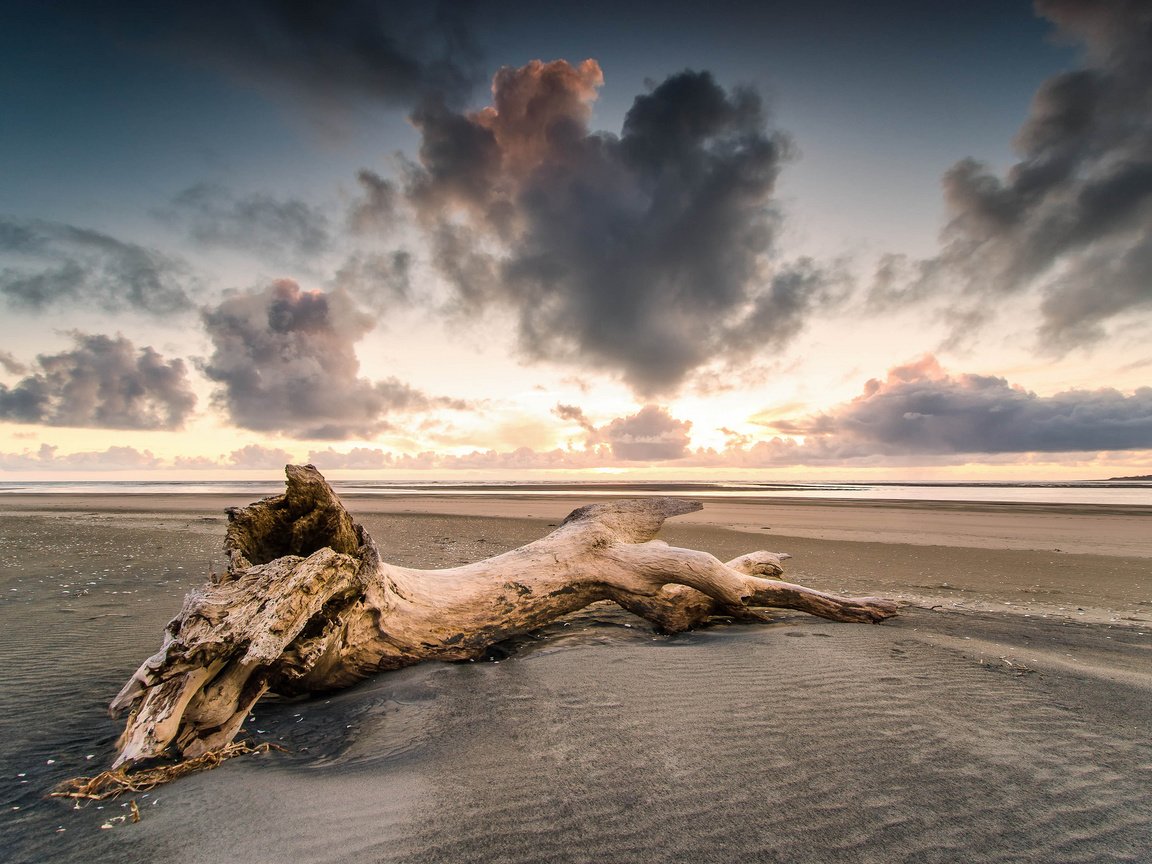 Обои дерево, берег, закат, песок, пляж, tree, shore, sunset, sand, beach разрешение 2048x1357 Загрузить