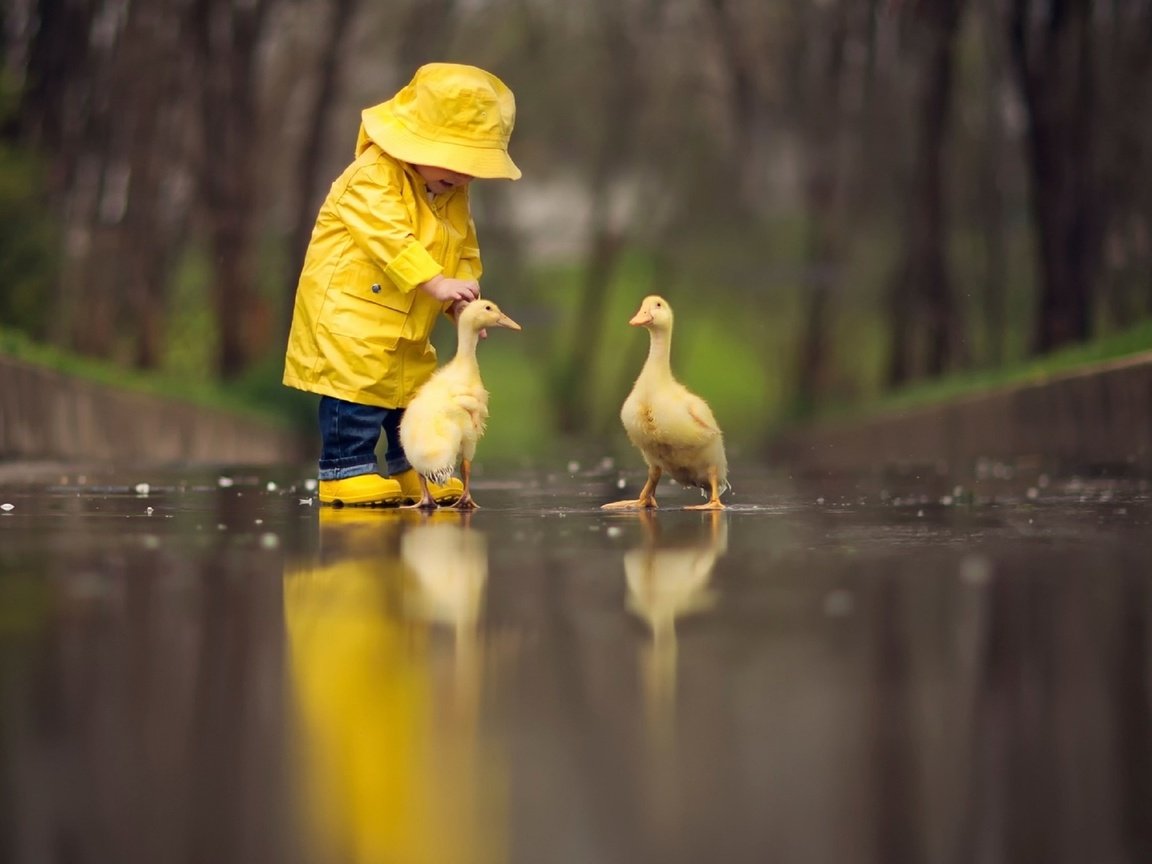 Обои природа, девочка, дождь, ребенок, дружба, маленькая, гуси, nature, girl, rain, child, friendship, little, geese разрешение 1920x1080 Загрузить