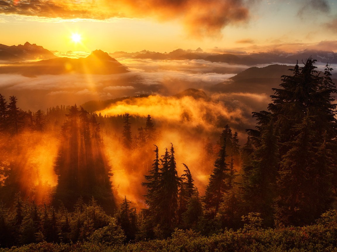 Обои небо, деревья, горы, солнце, лес, туман, горизонт, the sky, trees, mountains, the sun, forest, fog, horizon разрешение 2000x1182 Загрузить