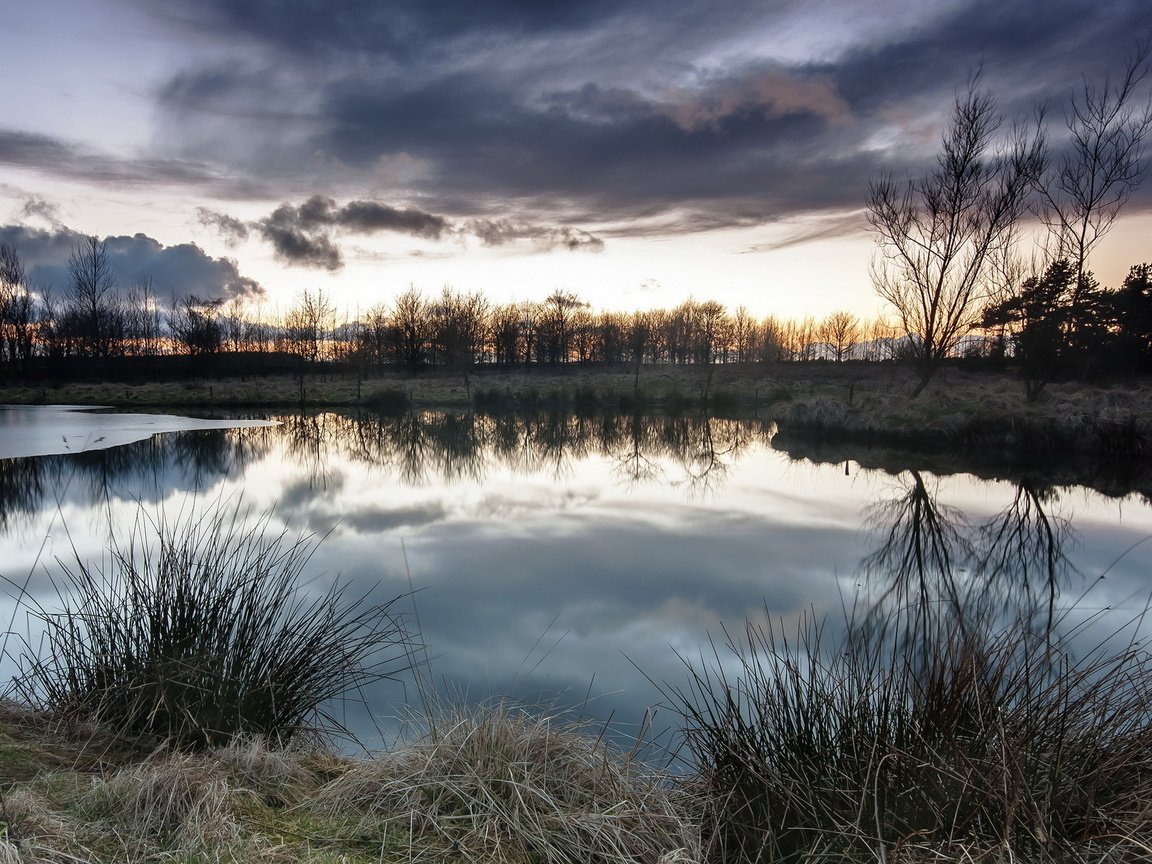 Обои трава, деревья, озеро, закат, отражение, пейзаж, grass, trees, lake, sunset, reflection, landscape разрешение 1920x1200 Загрузить