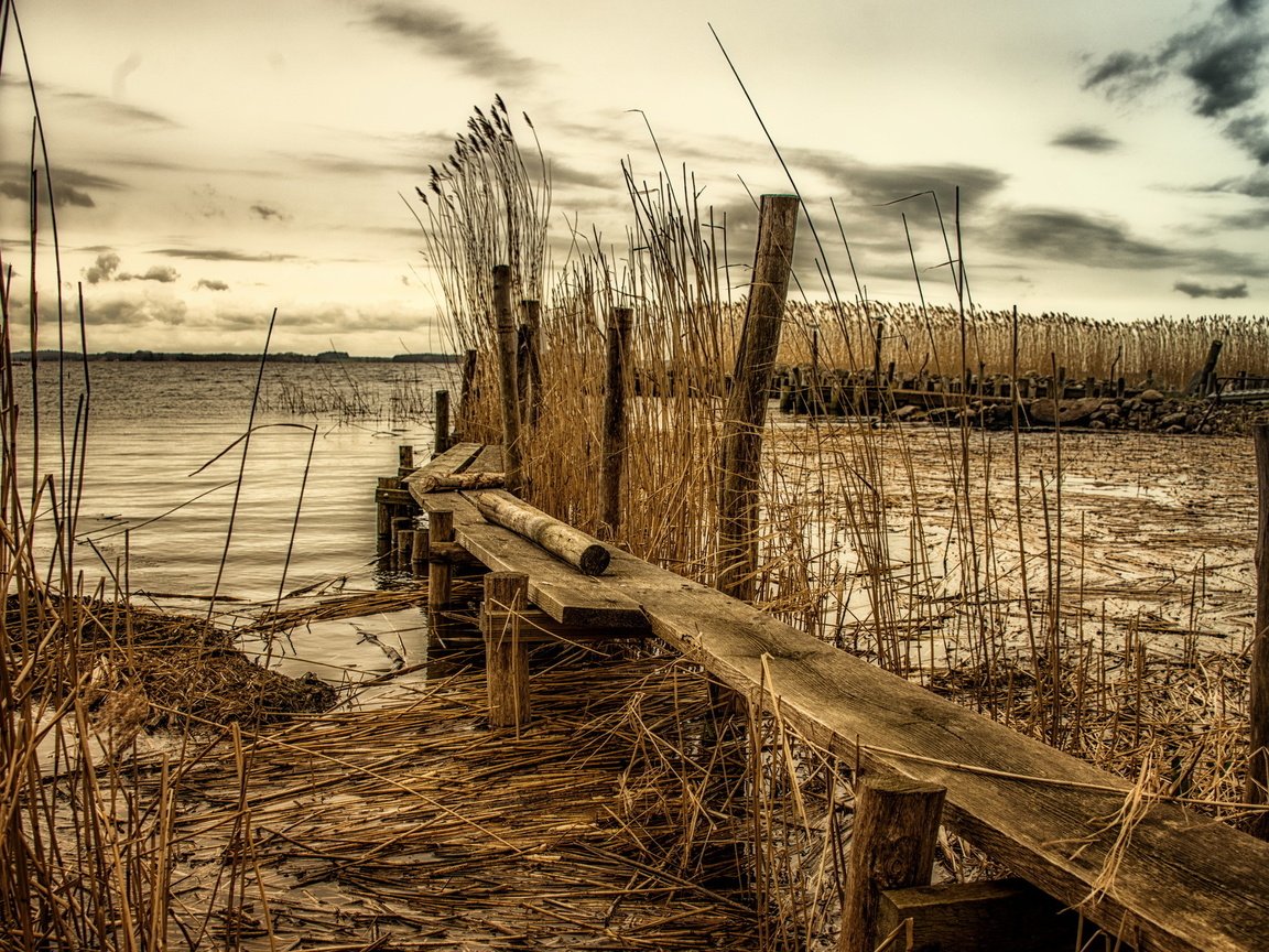 Обои река, пейзаж, мост, пасмурно, камыш, river, landscape, bridge, overcast, reed разрешение 2578x1440 Загрузить