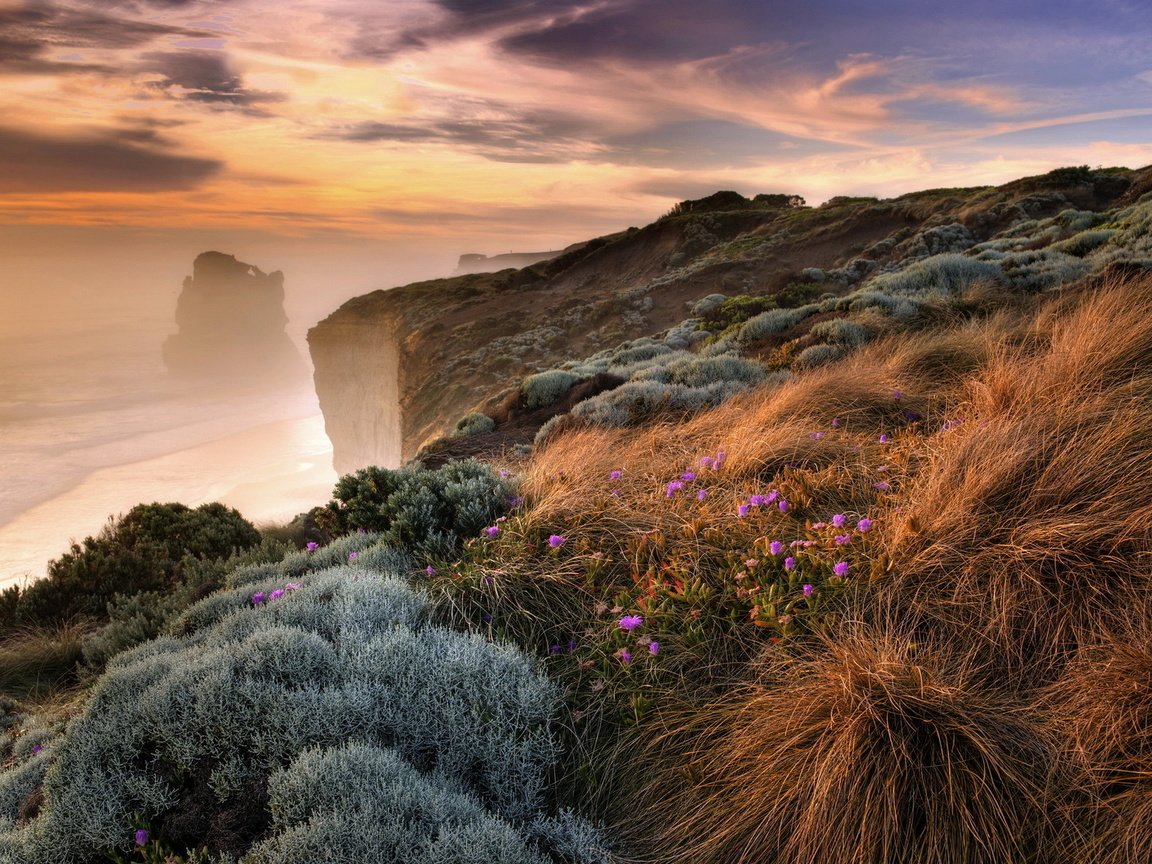 Обои цветы, трава, скалы, берег, море, туман, побережье, обрыв, flowers, grass, rocks, shore, sea, fog, coast, open разрешение 1920x1200 Загрузить