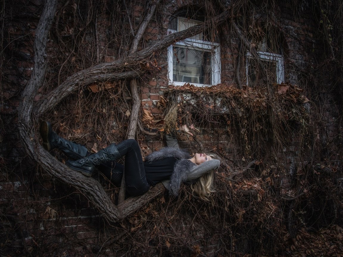 Обои дерево, девушка, поза, блондинка, дом, заросли, tree, girl, pose, blonde, house, thickets разрешение 2500x2000 Загрузить